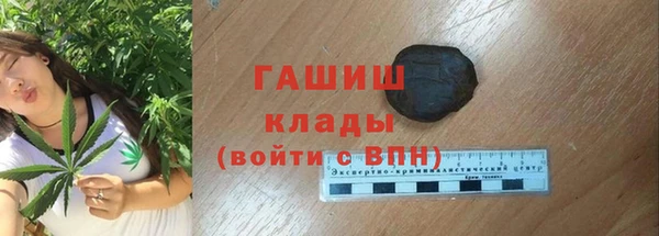 прущие грибы Горняк