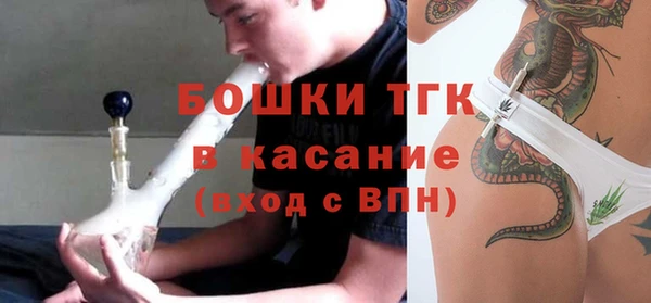 прущие грибы Горняк