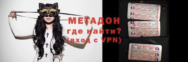 прущие грибы Горняк