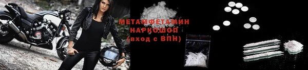 прущие грибы Горняк
