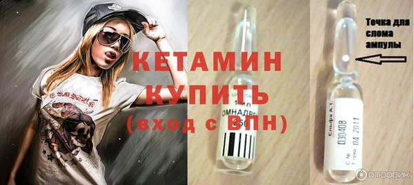 прущие грибы Горняк