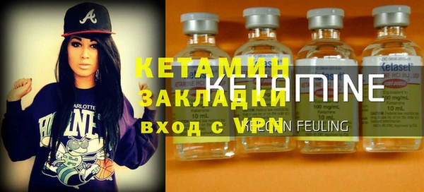 прущие грибы Горняк