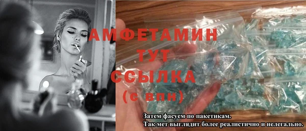 прущие грибы Горняк