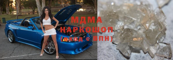 прущие грибы Горняк