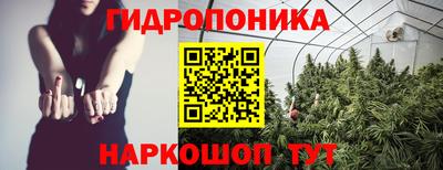 гашик Кандалакша