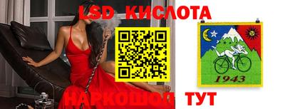 гашик Кандалакша