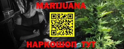 гашик Кандалакша